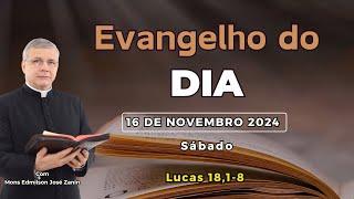 EVANGELHO DO DIA - 16/11/2024 - HOMILIA DIÁRIA - EVANGELHO DE HOJE - LITURGIA DE HOJE