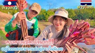 สาวลาวอยากได้อะไรขอให้บอก บ่าวไทยจัดให้ได้ทุกอย่าง