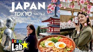 Япония влог, Токио: Увидели гору ФУДЗИ! Ginza, храм котиков Готокудзи, озеро Кавагучико, teamLab