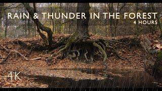 4 hours - "Majestic Roots" | Sounds of Rain and Thunder in the Autumn Forest for Sleep | 4K Video