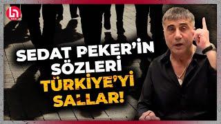 Sedat Peker neler anlattı neler! Gündem olacak kartel açıklaması! "Türkiye'de 3-5 seneye..."