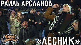 Играй, гармонь! | Раиль Арсланов (г. Казань) @musicianshut  | Лесник (гр. «Король и Шут»)