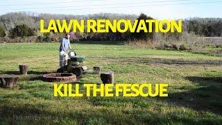 Kill The Fescue! - Home Lawn Renovation Project - The Grass Factor