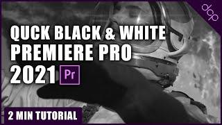 Quick Black and White Video in Premiere Pro 2021