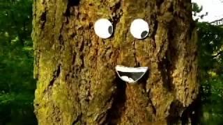 Trees with Faces.