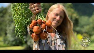 Why We Love Paris Market Carrot