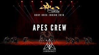 [2nd Place] Apes Crew | Body Rock Junior 2018 [@VIBRVNCY 4K]