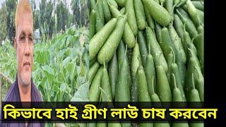 Cultivation method of high green varieties of gourd How to grow gourd Easy way to grow gourd Cultivation of gourds