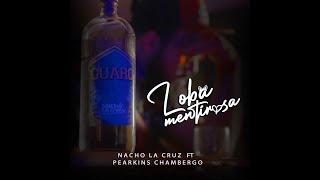 Loba Mentirosa - Nacho La Cruz ft Pearkins Chambergo