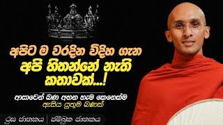 177. බණ අසන හැම දෙනෙක්ම ඇසිය යුතුම කතාවක් | ථුස ජාතකය | ජම්බුක ජාතකය | 2023-11-18