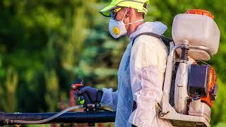 All Day Pest Services | Top-Rated Services