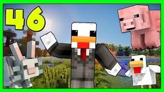 Minecraft Vanilla - Farm Di Animali #46