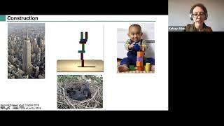 Kelsey Allen: Learning to act and predict with objects, physics and modes