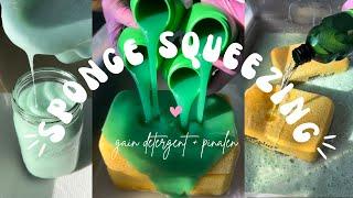 ASMR gain detergent sponge squeezing