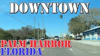 Palm Harbor - Florida - 4K Downtown Drive