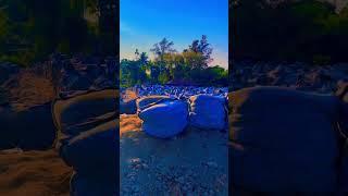 Natural #new #my #youtube #viralvideo #viralshorts #shorts #shortvideo #short #wow #respect #nice