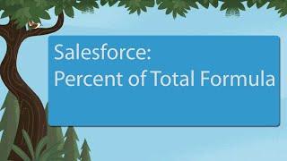 Salesforce: Percent of Total Formula in Report