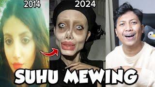 DULU CANTIK SEKARANG MEWING?