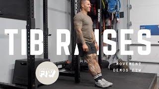 Anterior Tib Raises