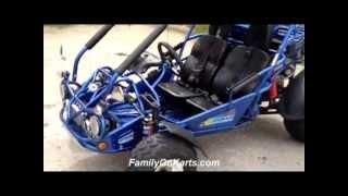 New TrailMaster 300 XRX GoKart From FamilyGoKarts.com