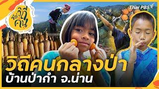 วิถีคนกลางป่า บ้านป่ากำ ต.ดงพญา อ.บ่อเกลือ จ.น่าน | ซีรีส์วิถีคน