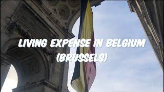 How much would it cost to live in BELGIUM FIVE BASIC ESSENTIAL LIVING COSTs