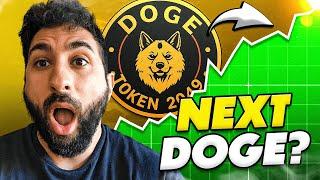 THE NEXT HIDDEN GEM!  DOGE TOKEN2049  INCOMING 1500x!