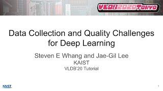 Data Collection and Quality Challenges for Deep Learning (VLDB 2020 Tutorial Part.01)