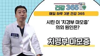 [건강365] 시린 이 '치경부 마모증' 의외 원인은?   l 김해 드림플란트치과 l 055)715-7500