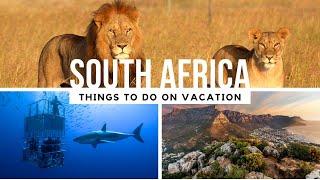 Top 5 Things to do in South Africa (2025 Guide)