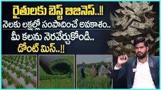 BUSINESS IDEAS FOR FARMERS | Best Profitable Farming Business Ideas 2024 | Suneel Reddy | SumanTV MW