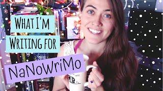 NANOWRIMO 2019 | What I'm Writing