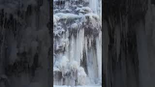 ️Tiffany Falls [Winter 2024] ️|  Happy Time 