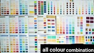 Nerolac Dulux burger Nippon Asian All pant colour combination