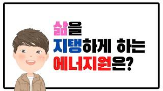 당신의 삶을 지탱하게 하는 에너지원은 무엇인가요?