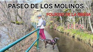 PASEO DE LOS MOLINOS. FOLGOSO DE LA RIBERA. LEÓN. RUTA EN FAMILIA Y 
