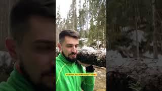 Що ти несеш? #гори #карпати #похід