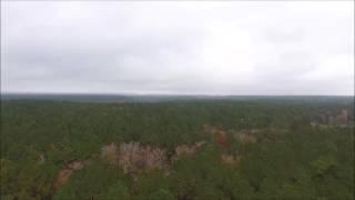 52 acres Land for Sale in Southeast Texas in Jasper County by RecLand.net