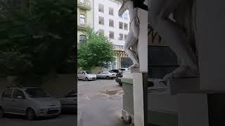 ОДНИМ ГЛАЗОМ️‍️ НА ДЕРИБАСОВСКИЙ ОДЕССКИЕ ДВОРЫ