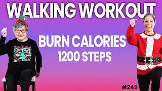 Gentle Walking Workout to Burn Body Fat & Calories (Perfect for 60+)