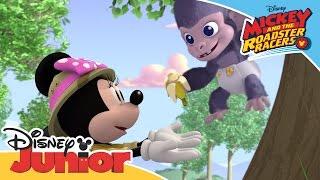 Mickey and the Roadster Racers - The Happy Helpers Rescue a Gorilla | Official Disney Junior Africa