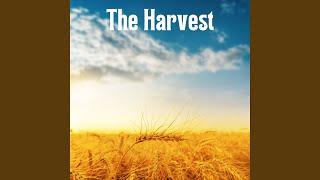 The Harvest