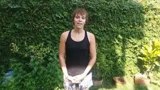 Yoga Teacher Training Nepal Review -Mantra Yoga & Meditation School Pokhara Nepal