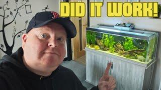 I set up TWO new FISH TANKS | Did it Work?