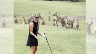 Kangaroos mob golfer in Australia  | Wendy Woo Golf