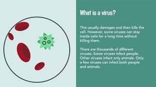 Viral Infections: Causes, Diagnosis, Prevention, and Treatment | Merck Manual Consumer Version