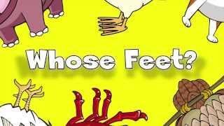 Whose Feet? | Learn Animals Song for Kids