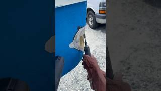 Fix Crushed Fiberglass Quick and Easy! #shorts #fiberglass #repair #painting #boat #boating #music