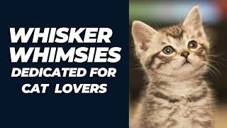 INTRODUCING WHISKER WHIMSIES - "A Haven for Cat Lovers"