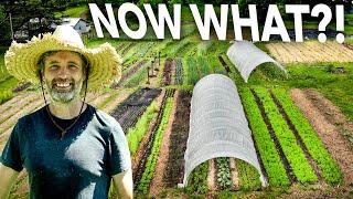 You Started a Farm...